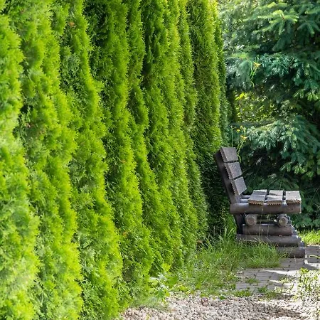 Letniskowe * Grzybowo (West Pomeranian)