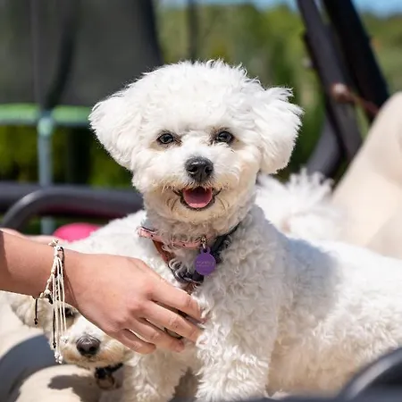 Lodge Letniskowe Grzybowo (West Pomeranian)