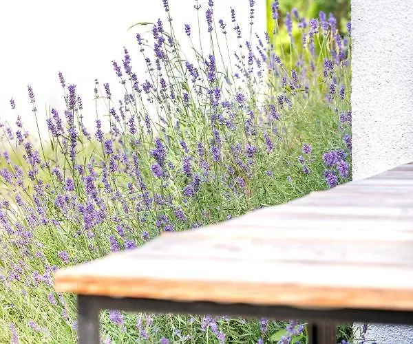 Letniskowe Деревянный коттедж