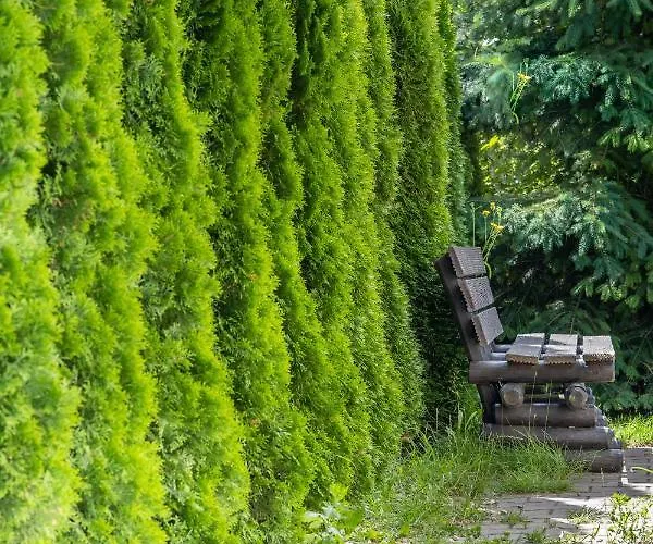 Letniskowe * Грзибово