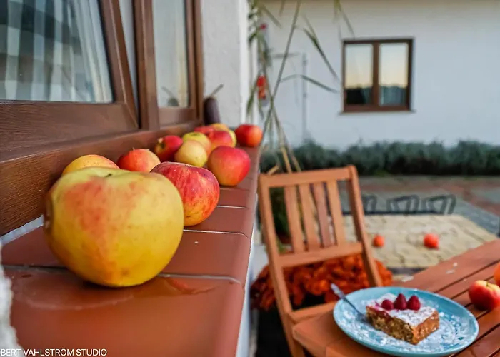 Letniskowe Грзибово