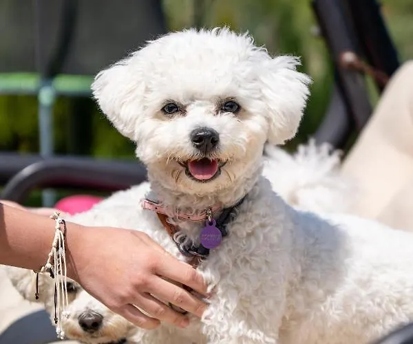 Domek letniskowy Letniskowe Grzybowo (West Pomeranian)