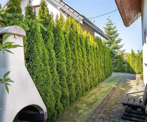 Letniskowe Грзибово