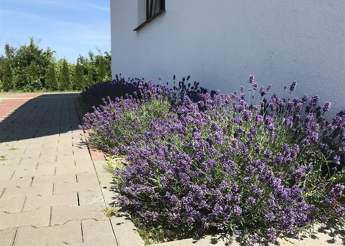 Деревянный коттедж Letniskowe *